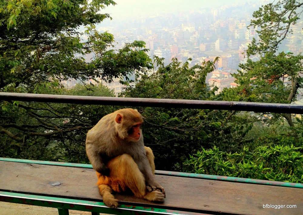 Monkey Temple above valley of Kathmandu